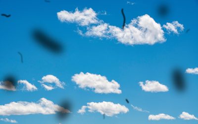 Floaters & PVD: What You Need To Know